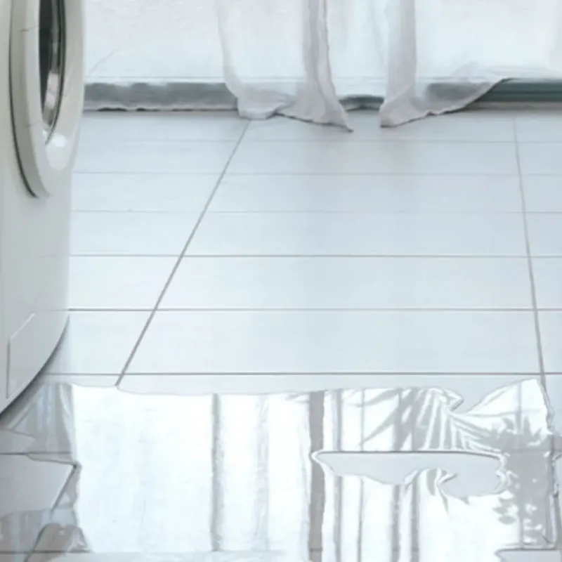 Appliance Leak Cleanup in Sylvania, GA