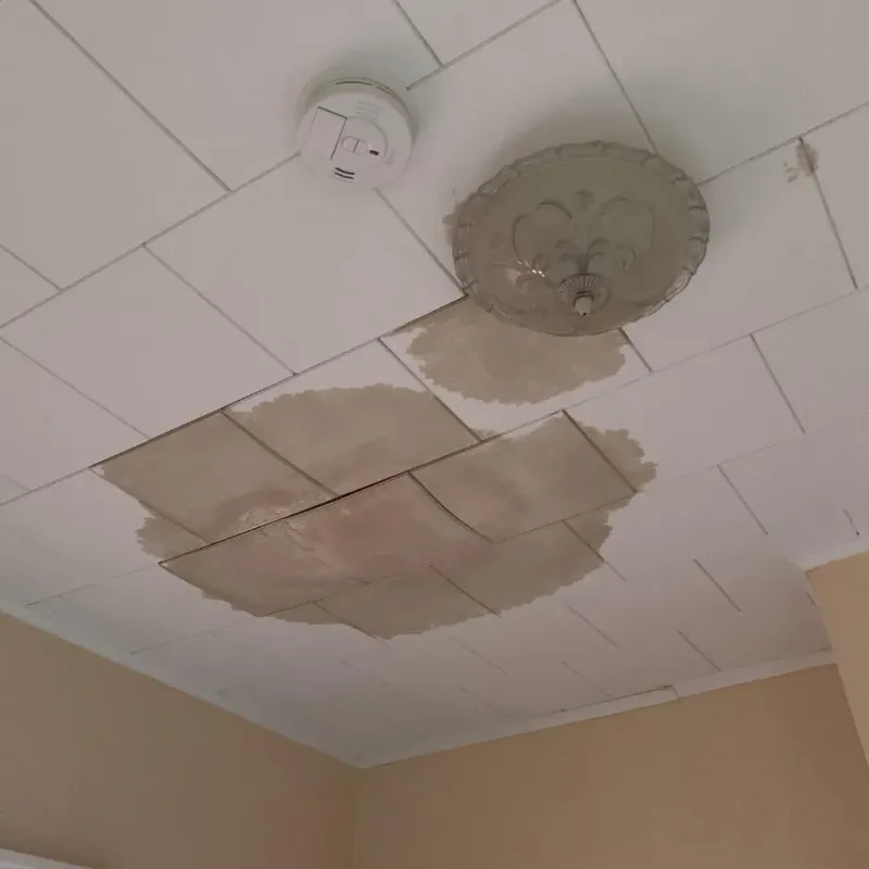 Ceiling Water Damage Repair in Sylvania, GA